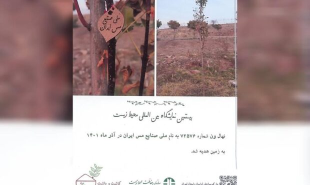 کاشت نهالی به نام شرکت ملی مس به پاس قدردانی از اقدامات محیط زیستی