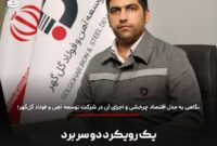 یک رویکرد دو سربرد