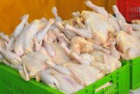 محدوده نوسان قیمت مرغ تعیین شد