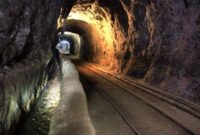 نخلک؛ در مسیر توسعه