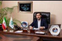 دولت کاری به بخش خصوصی نداشته باشد