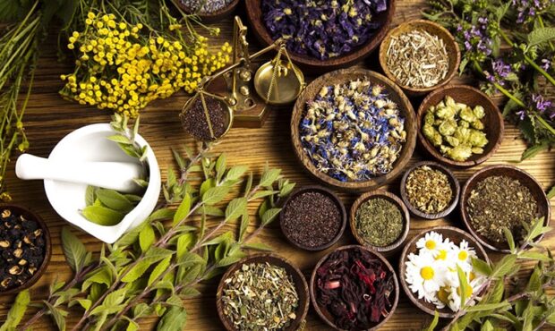 جهش صادرات گیاهان دارویی جهش صادرات گیاهان دارویی