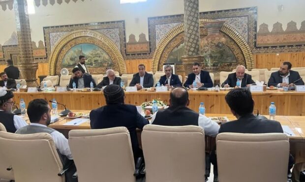 علی رسولیان مدیرعامل فولاد سنگان: عزم جدی ایران و افغانستان برای همکاری مشترک بخش صنعت و معدن علی رسولیان مدیرعامل فولاد سنگان: عزم جدی ایران و افغانستان برای همکاری مشترک بخش صنعت و معدن