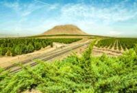شرکت فولاد مبارکه سازمانی مسئولیت پذیر در زمینه مسائل زیست محیطی