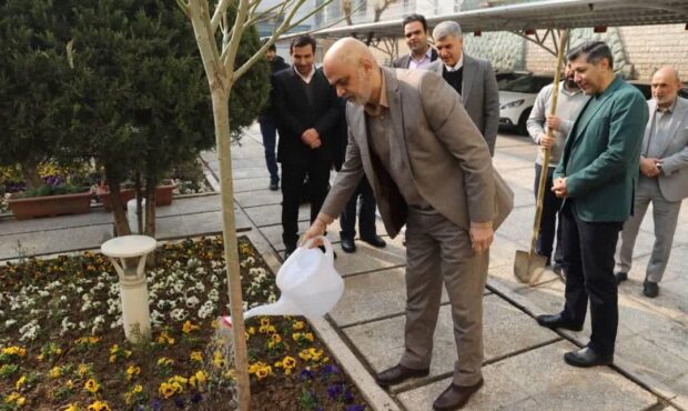 برگزاری آیین درختکاری توسط مدیرعامل و مدیران شرکت ملی صنایع مس ایران برگزاری آیین درختکاری توسط مدیرعامل و مدیران شرکت ملی صنایع مس ایران