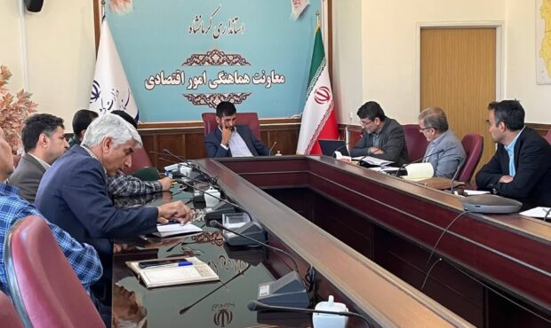 طرح احیا پیگیر بازگرداندن واحدهای تعطیل به چرخه تولید است