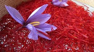 بررسی راهکارهای توسعه صادرات زعفران بررسی راهکارهای توسعه صادرات زعفران