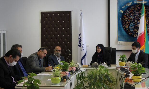 کلیات ساختار ستاد عالی راهبری هنر صنعت فرش دستباف تصویب شد
